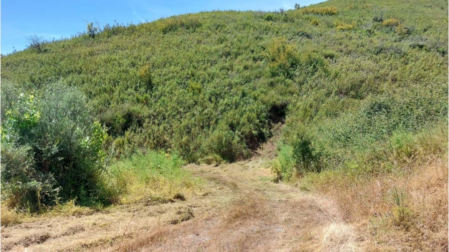 Quinta T2 para Venda em Alferce Foto 8