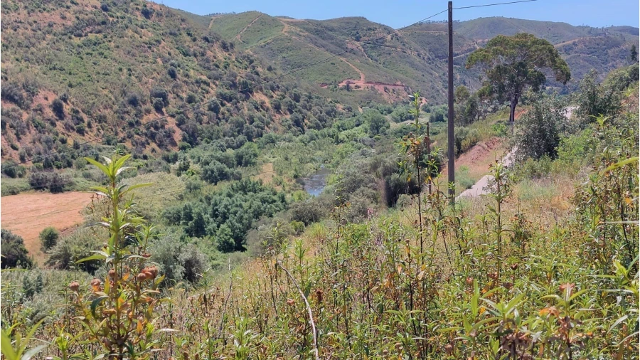 Quinta T2 para Venda em Alferce Foto 30