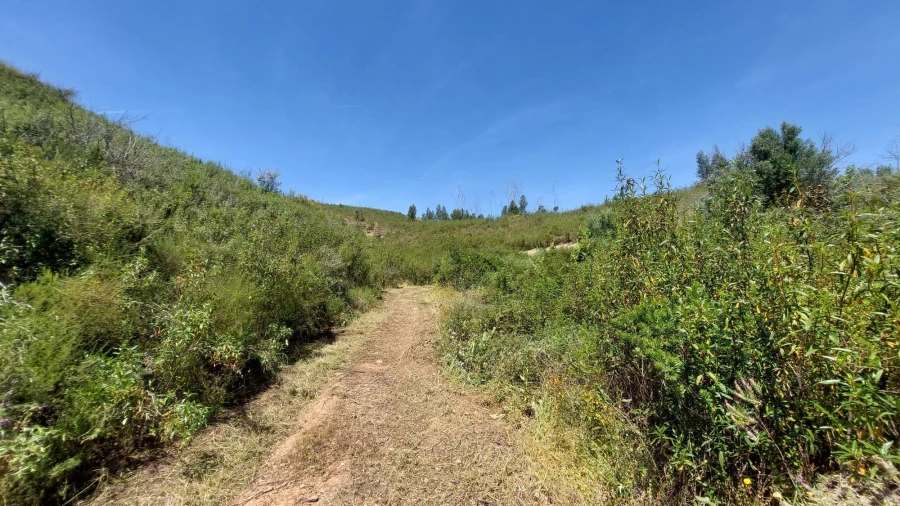 Quinta T2 para Venda em Alferce Foto 27