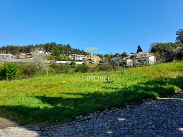 Terreno para Venda em Pinheiro da Bemposta, Travanca e Palmaz
