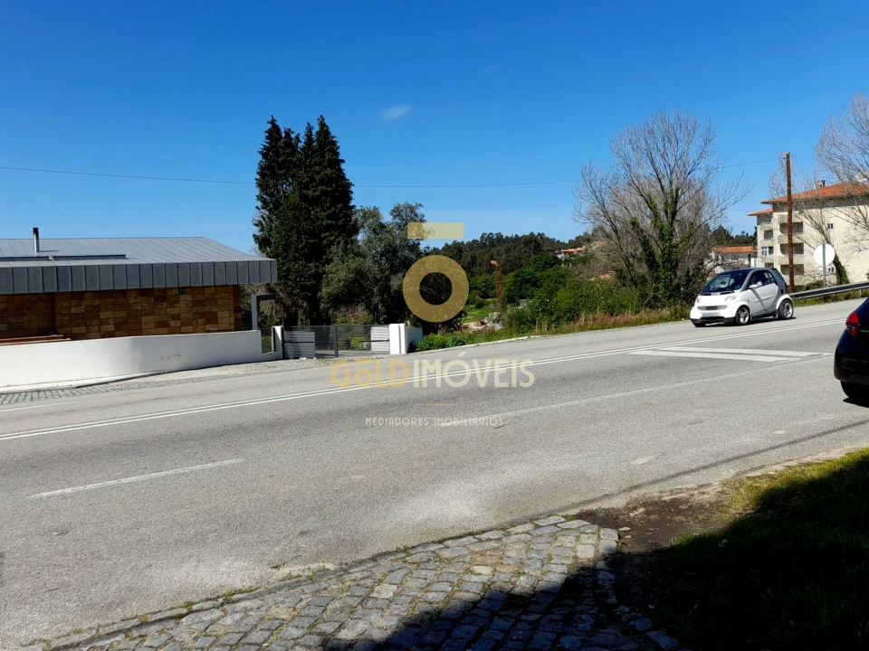 Terreno para Venda em Pinheiro da Bemposta, Travanca e Palmaz Foto 6