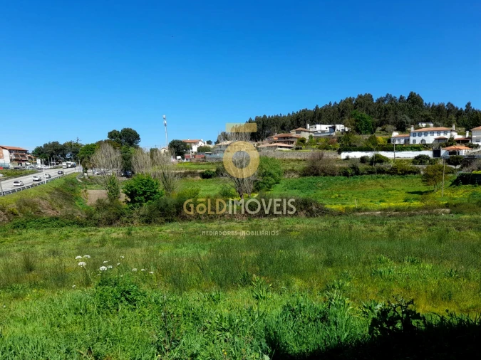 Terreno para Venda em Pinheiro da Bemposta, Travanca e Palmaz Foto 5