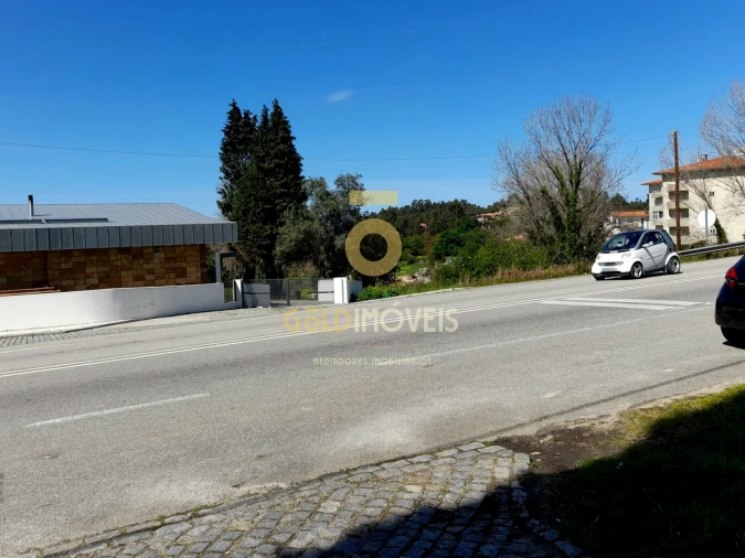 Terreno para Venda em Pinheiro da Bemposta, Travanca e Palmaz Foto 6