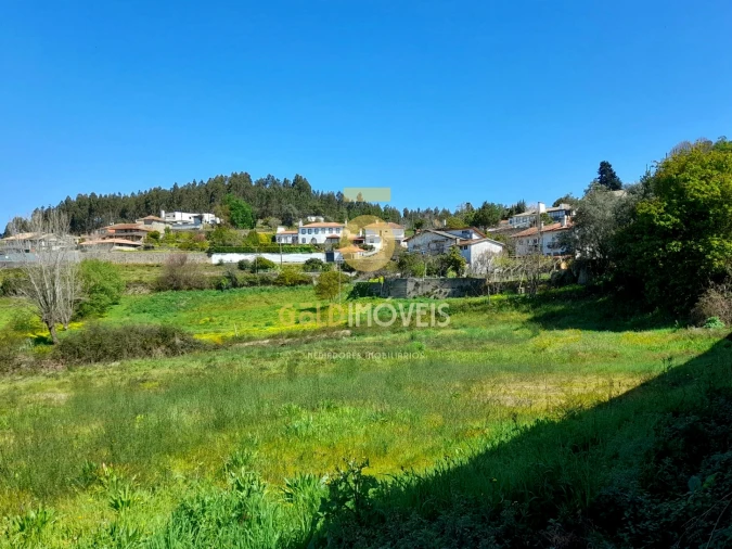 Terreno para Venda em Pinheiro da Bemposta, Travanca e Palmaz Foto 4