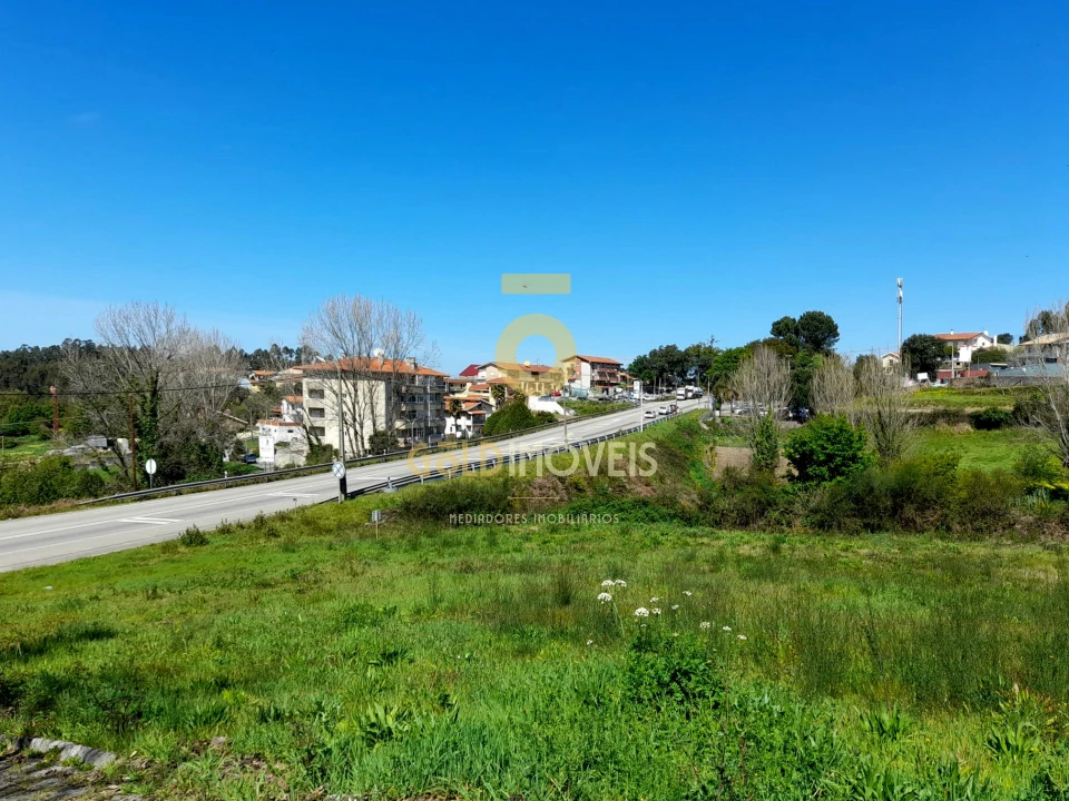 Terreno para Venda em Pinheiro da Bemposta, Travanca e Palmaz Foto 1