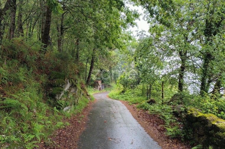 Moradia T4 para Venda em Cibões e Brufe Foto 4