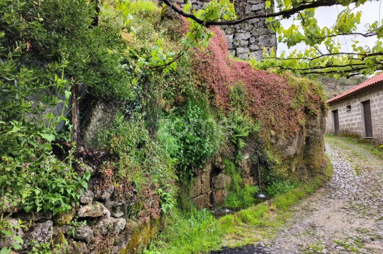 Moradia T4 para Venda em Cibões e Brufe Foto 19