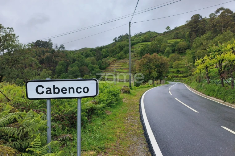 Moradia T4 para Venda em Cibões e Brufe Foto 3