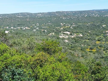 Terreno para Venda em Santa Barbara de Nexe