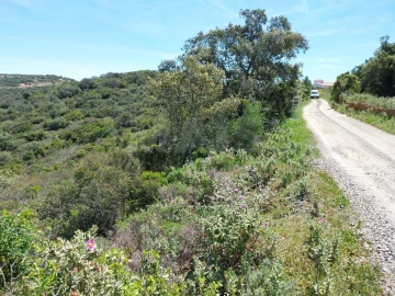 Terreno para Venda em Santa Barbara de Nexe