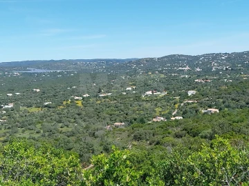 Terreno para Venda em Santa Barbara de Nexe