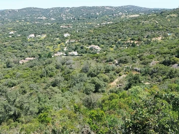 Terreno para Venda em Santa Barbara de Nexe