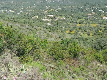 Terreno para Venda em Santa Barbara de Nexe