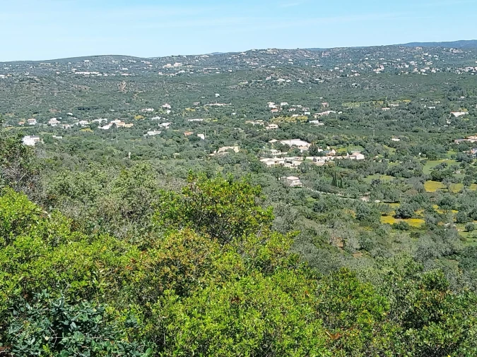 Terreno para Venda em Santa Barbara de Nexe Foto 6