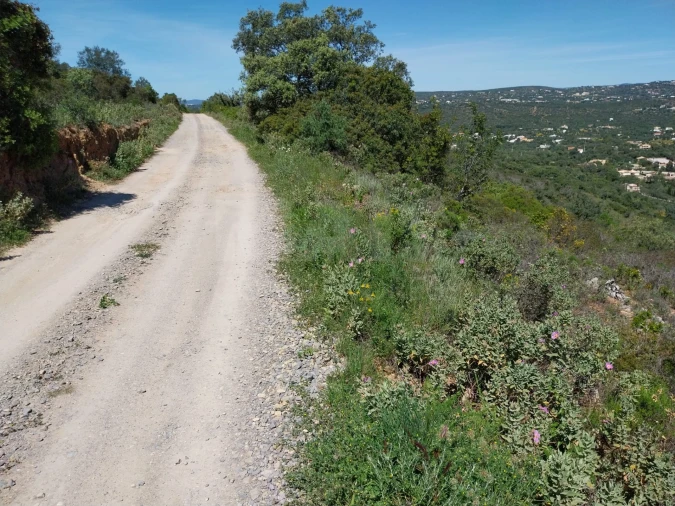 Terreno para Venda em Santa Barbara de Nexe Foto 7