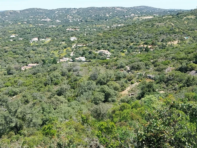 Terreno para Venda em Santa Barbara de Nexe Foto 10