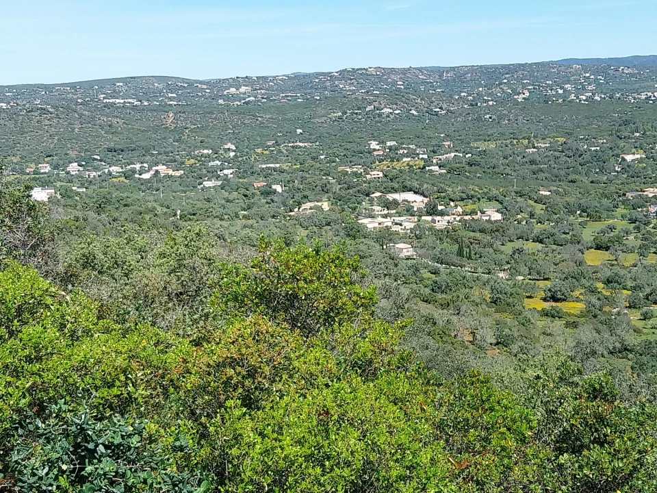 Terreno para Venda em Santa Barbara de Nexe Foto 6
