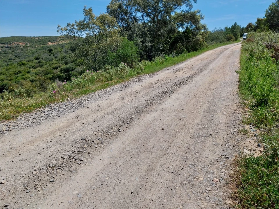 Terreno para Venda em Santa Barbara de Nexe Foto 2