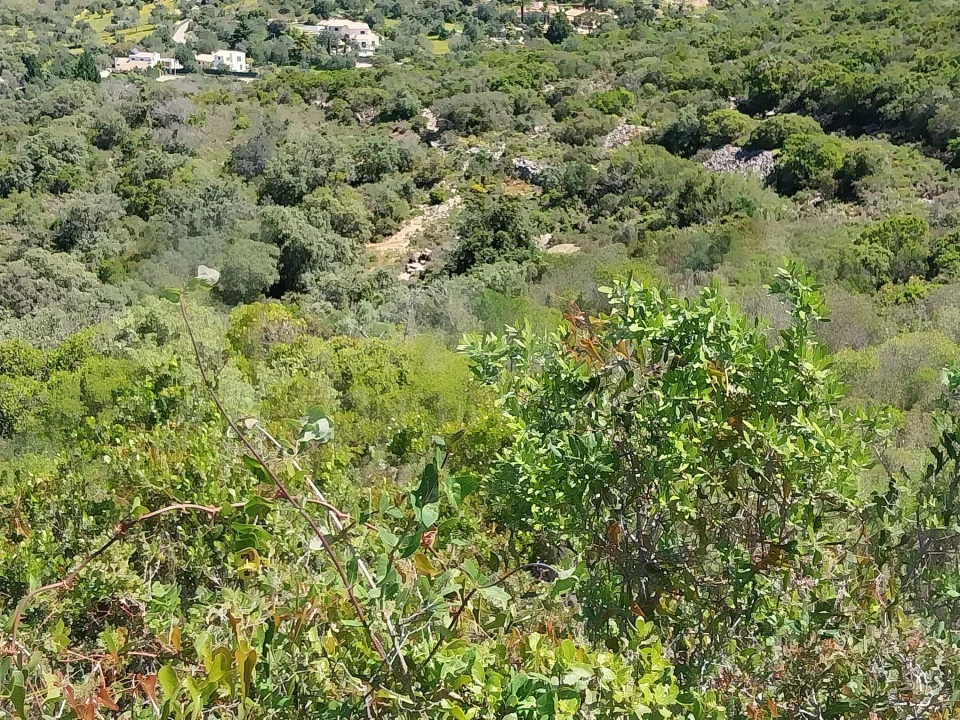 Terreno para Venda em Santa Barbara de Nexe Foto 11