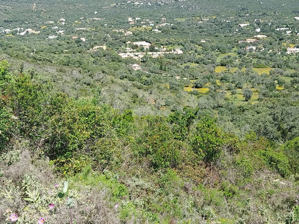 Terreno para Venda em Santa Barbara de Nexe Foto 1