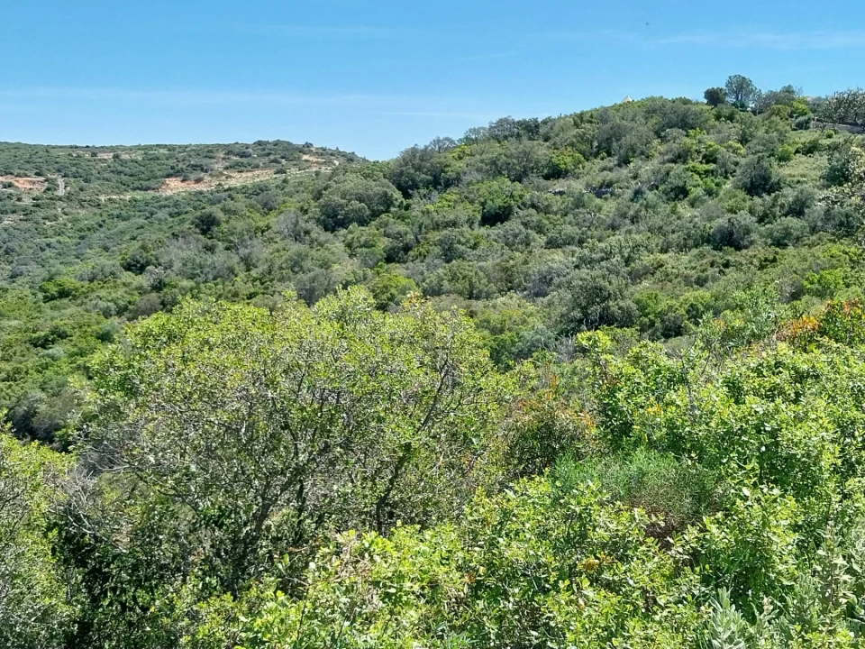 Terreno para Venda em Santa Barbara de Nexe Foto 4