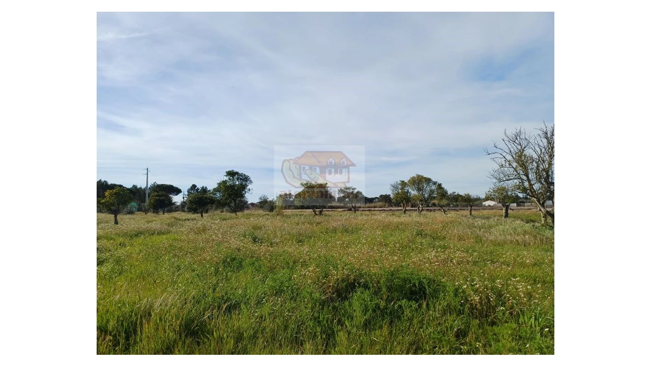 Quinta T7 para Venda em Grândola e Santa Margarida da Serra Foto 3