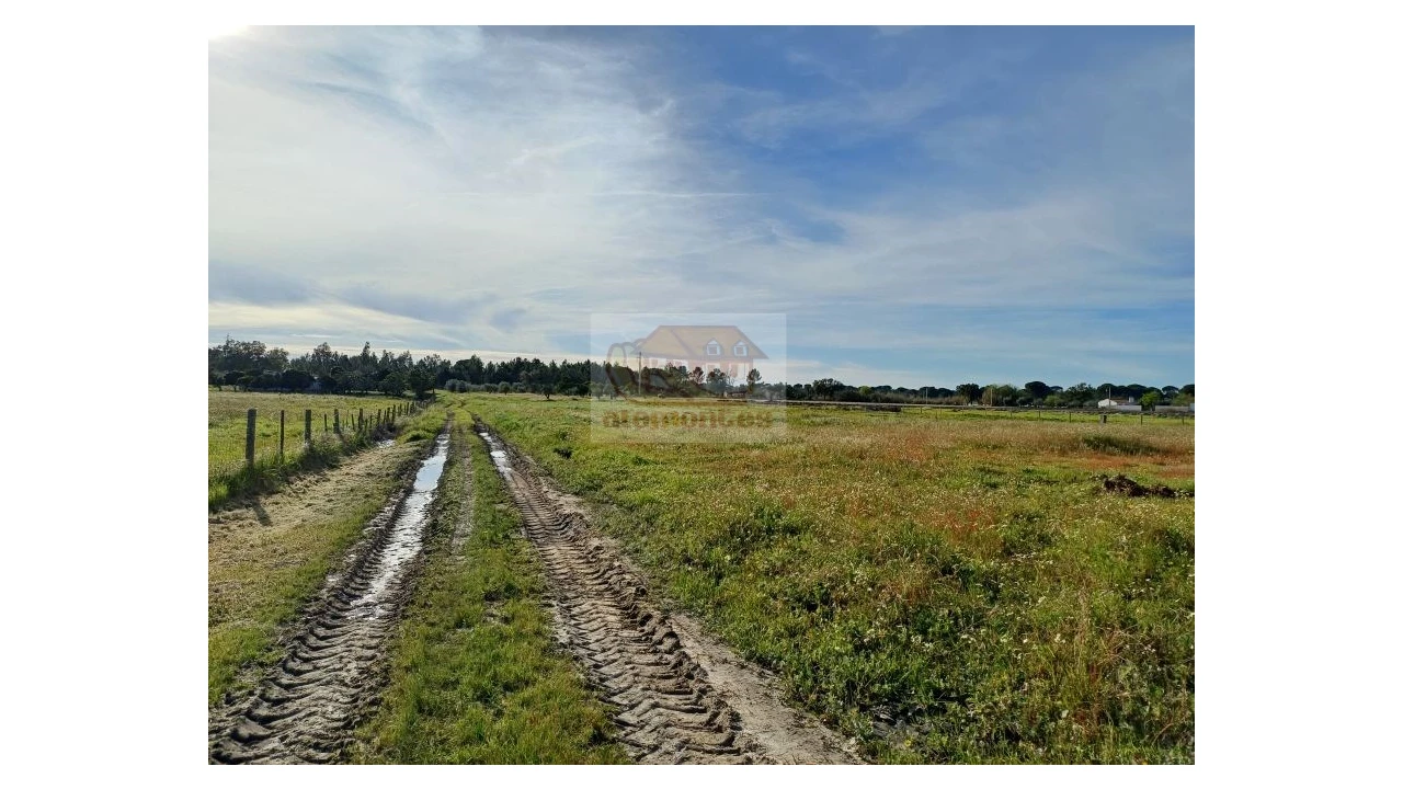 Quinta T7 para Venda em Grândola e Santa Margarida da Serra Foto 8