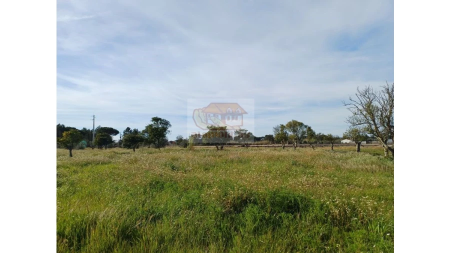 Quinta T7 para Venda em Grândola e Santa Margarida da Serra Foto 3