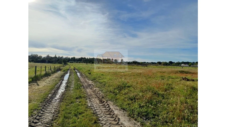 Quinta T7 para Venda em Grândola e Santa Margarida da Serra Foto 8