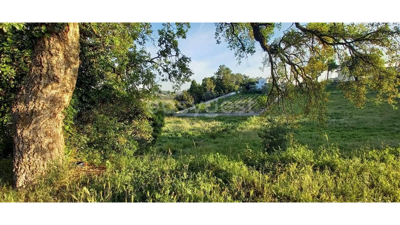 Terreno para Venda em Santa Clara e Castelo Viegas Foto 2