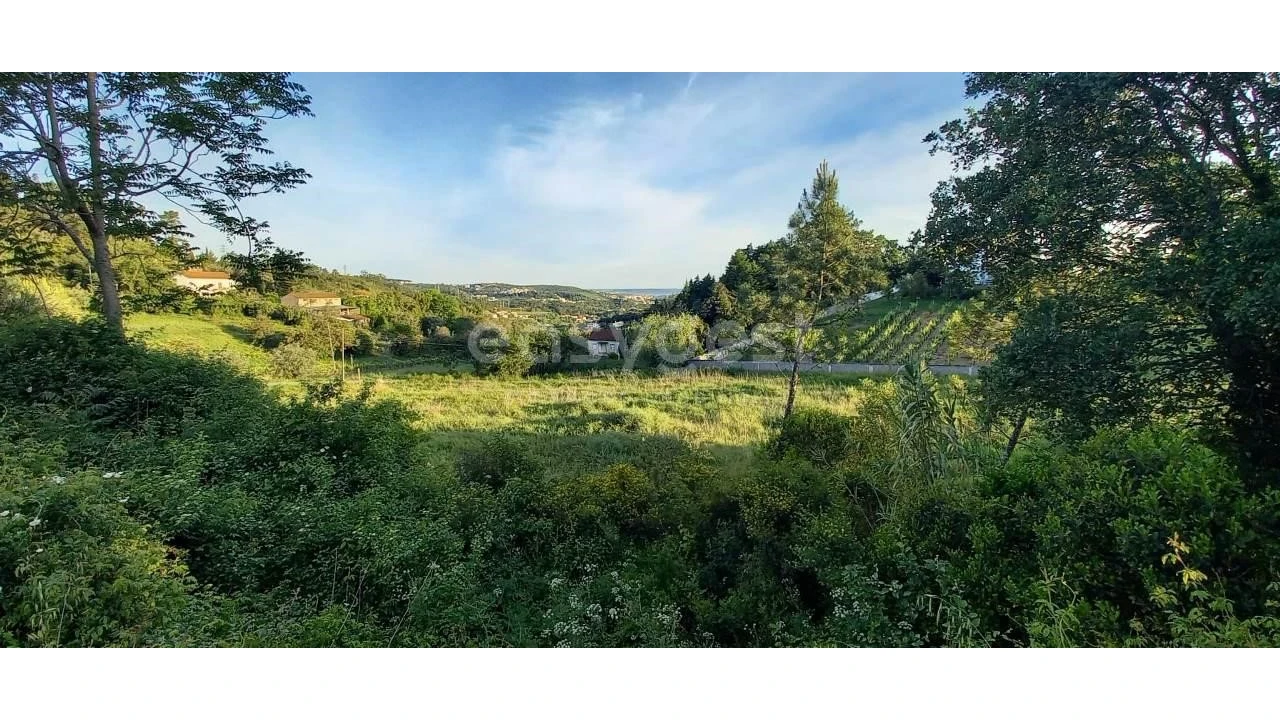 Terreno para Venda em Santa Clara e Castelo Viegas Foto 3