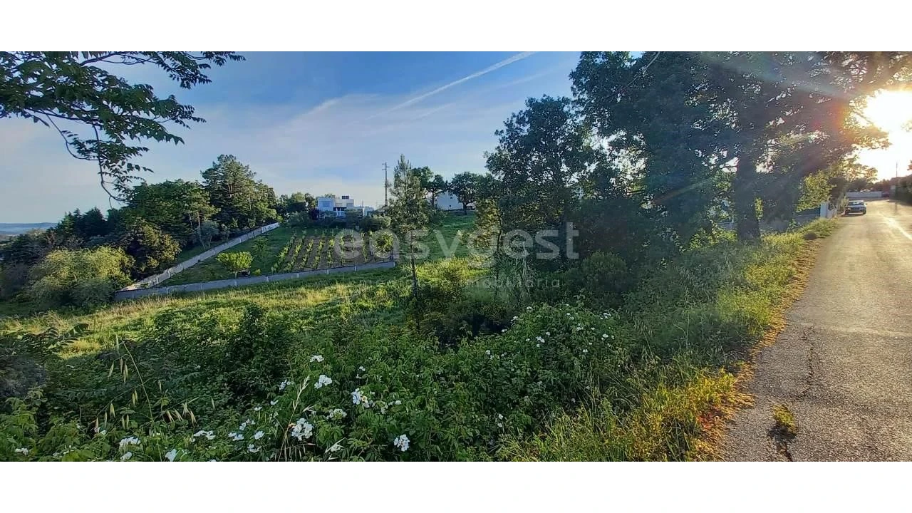 Terreno para Venda em Santa Clara e Castelo Viegas Foto 4