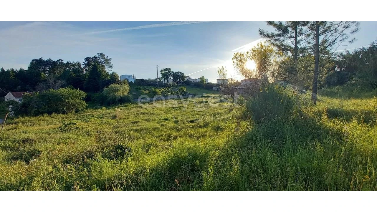 Terreno para Venda em Santa Clara e Castelo Viegas Foto 5