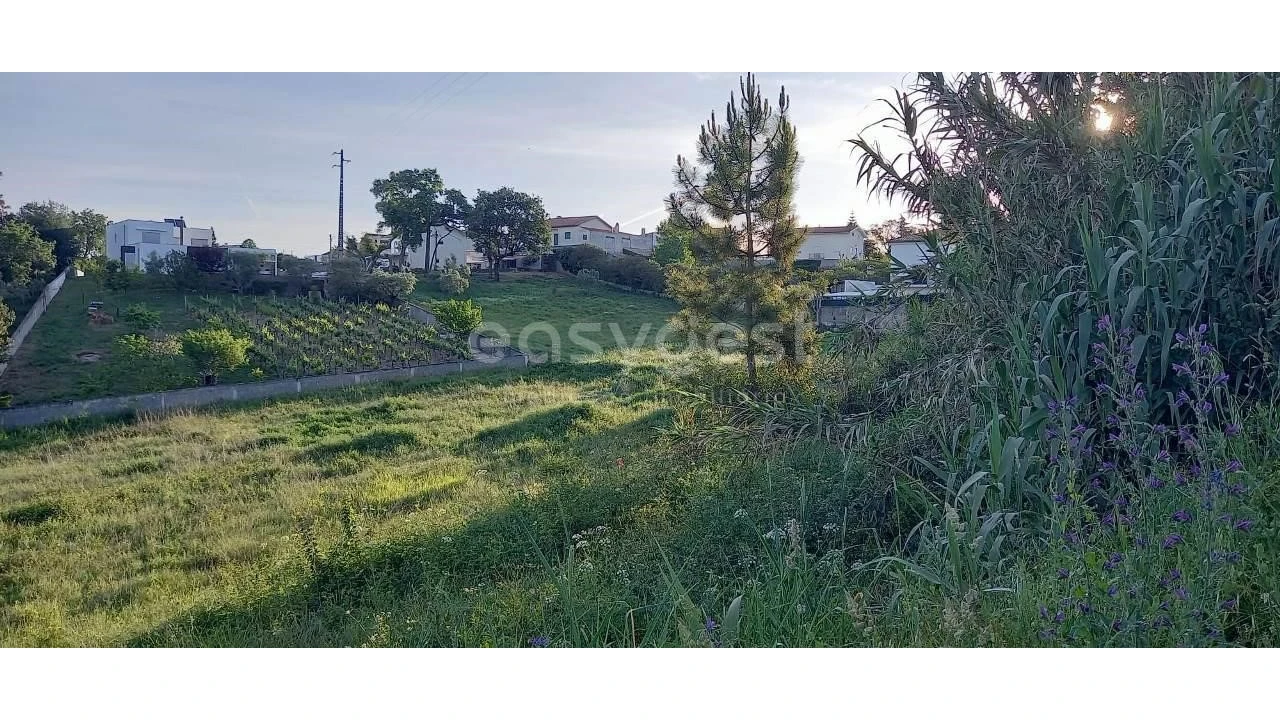 Terreno para Venda em Santa Clara e Castelo Viegas Foto 7