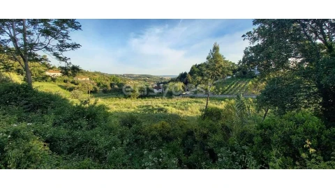 Terreno para Venda em Santa Clara e Castelo Viegas