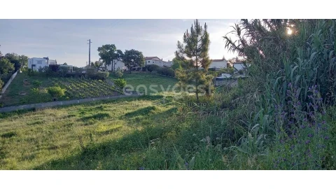 Terreno para Venda em Santa Clara e Castelo Viegas
