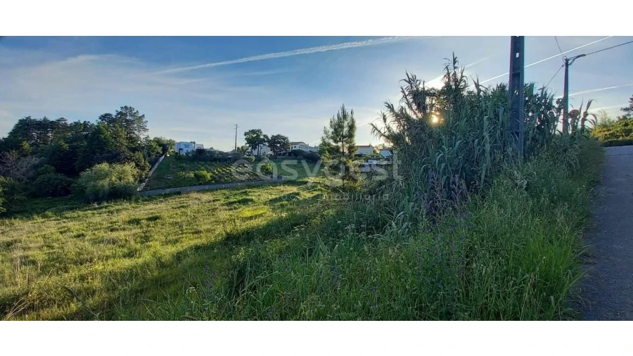 Terreno para Venda em Santa Clara e Castelo Viegas Foto 8