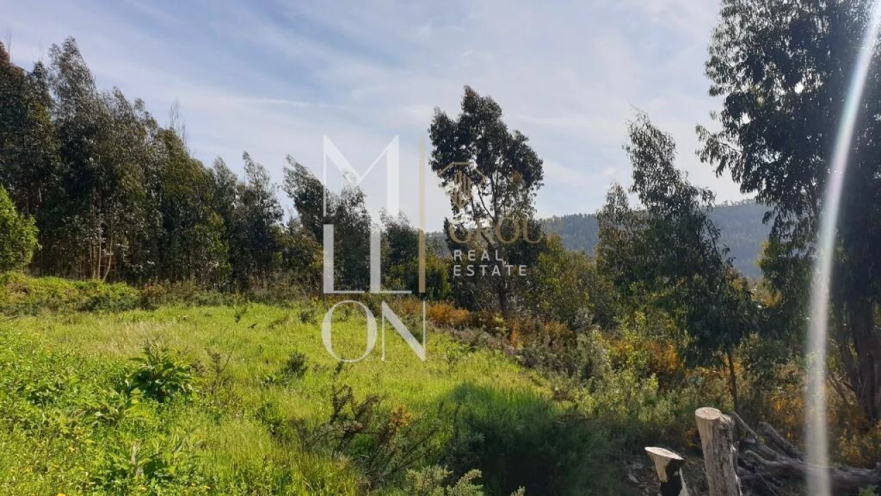 Terreno para Venda em Raiva, Pedorido e Paraíso Foto 11