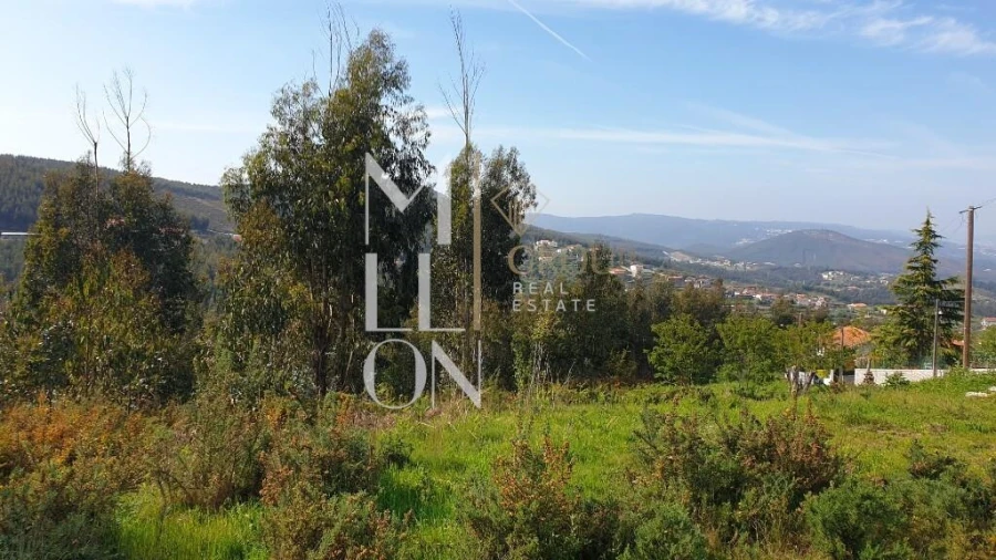 Terreno para Venda em Raiva, Pedorido e Paraíso Foto 7