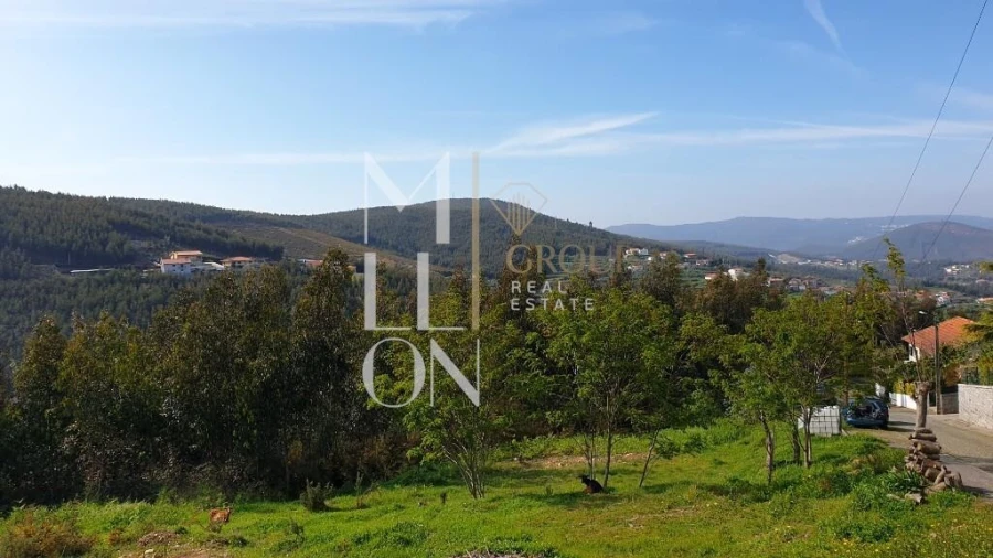 Terreno para Venda em Raiva, Pedorido e Paraíso Foto 14