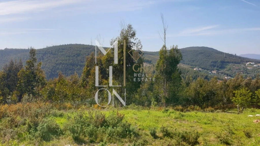 Terreno para Venda em Raiva, Pedorido e Paraíso Foto 6