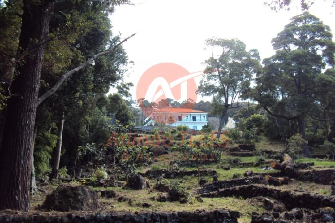 Moradia T3 para Venda em Urzelina (São Mateus) Foto 55