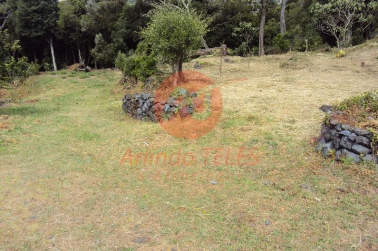 Moradia T3 para Venda em Urzelina (São Mateus) Foto 50