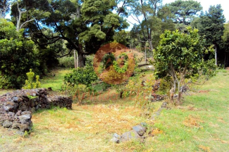 Moradia T3 para Venda em Urzelina (São Mateus) Foto 51