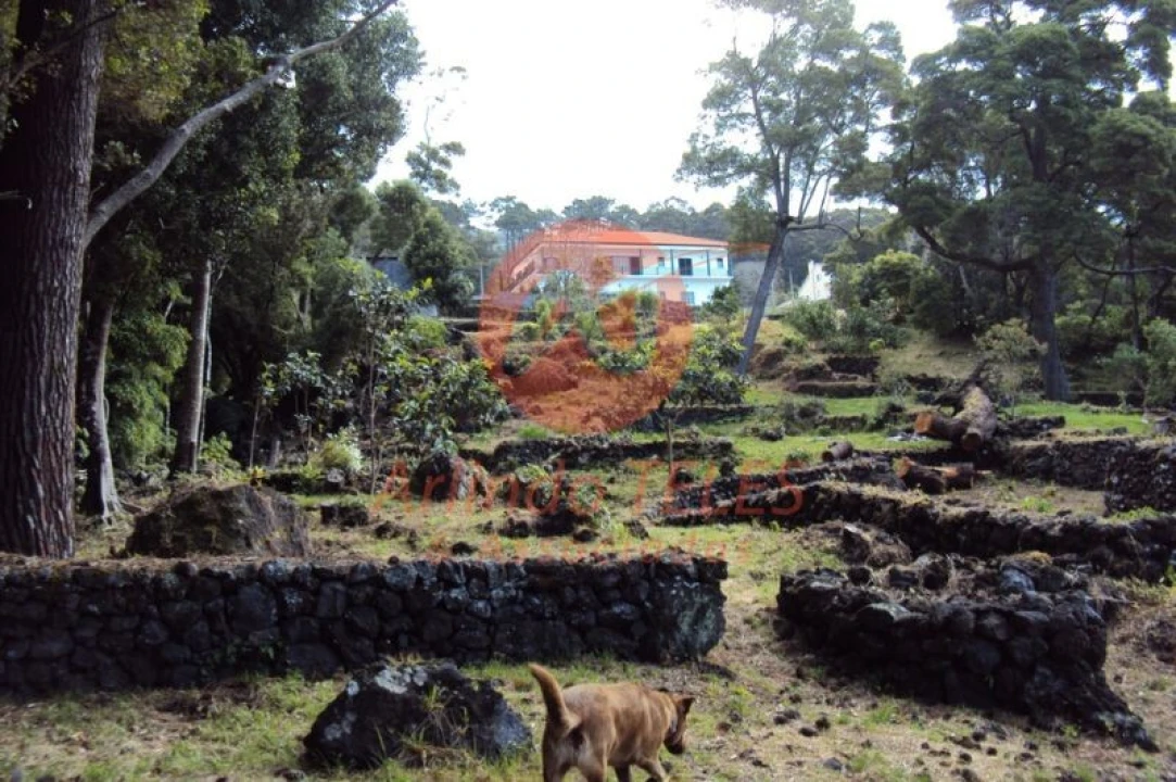 Moradia T3 para Venda em Urzelina (São Mateus) Foto 2