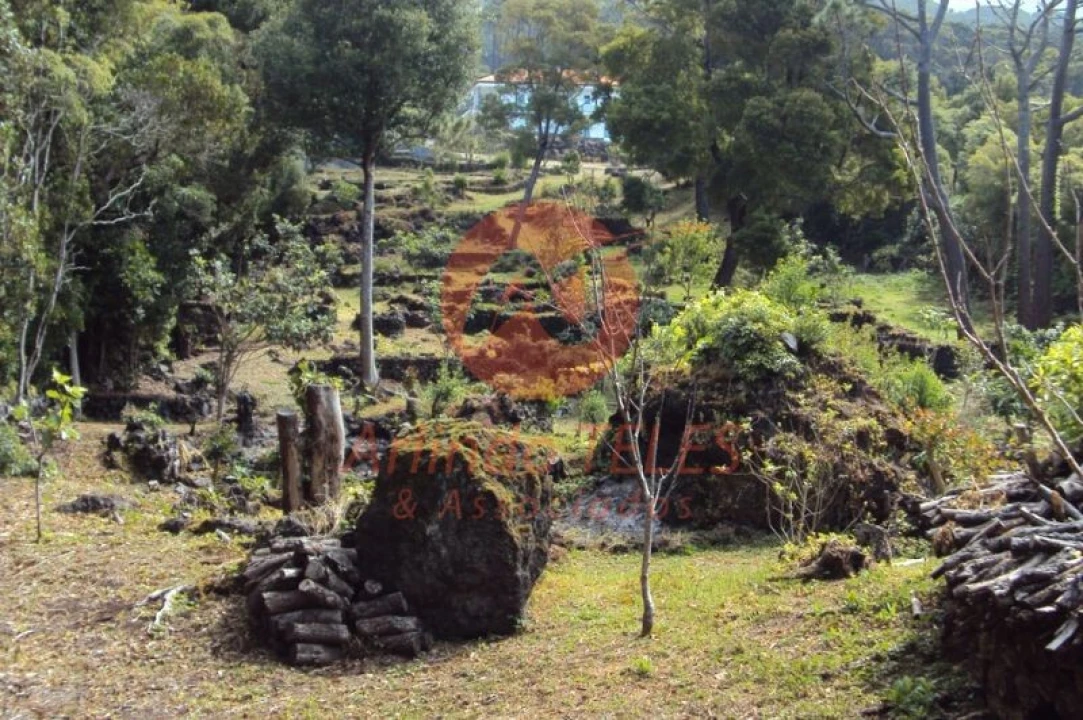 Moradia T3 para Venda em Urzelina (São Mateus) Foto 3