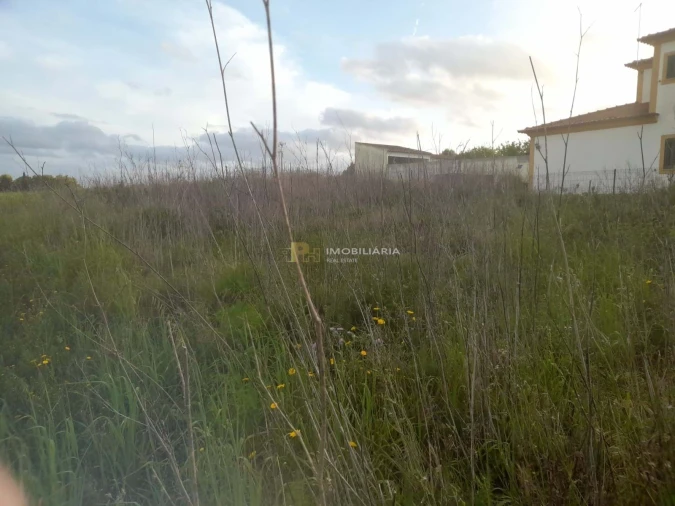 Terreno para Venda em Marvila, Ribeira Santarém, São Salvador, São Nicolau Foto 3