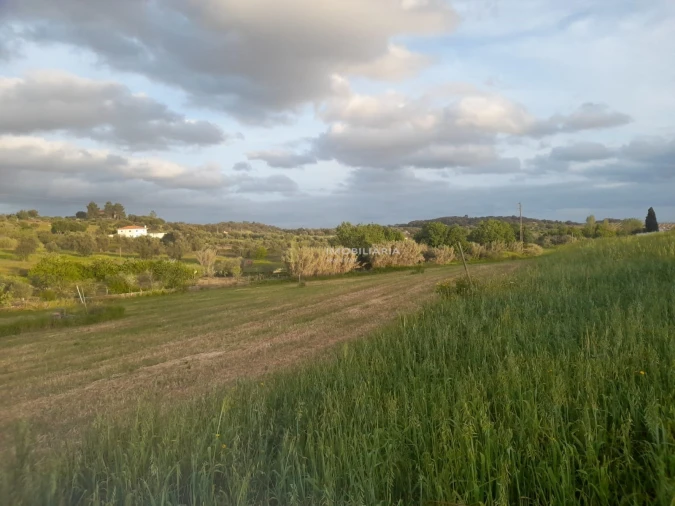 Terreno para Venda em Marvila, Ribeira Santarém, São Salvador, São Nicolau Foto 3