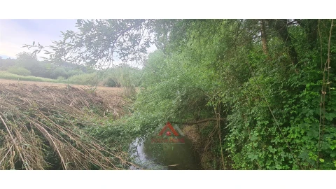 Terreno para Venda em Leiria, Pousos, Barreira e Cortes