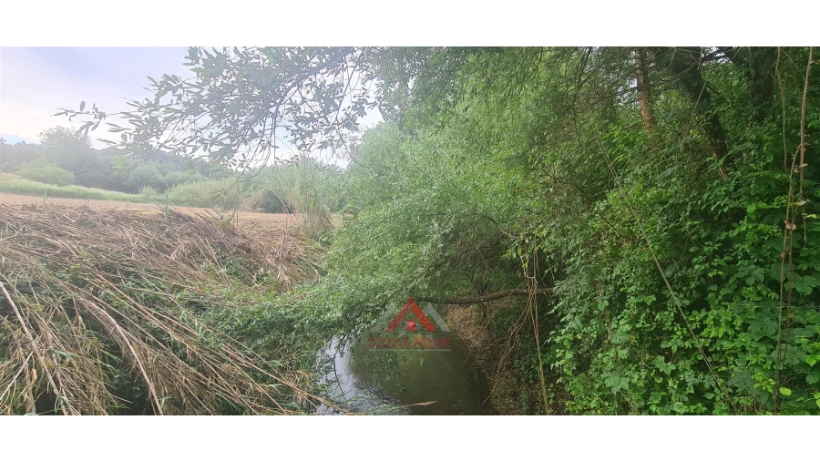 Terreno para Venda em Leiria, Pousos, Barreira e Cortes Foto 5